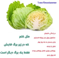 ورق زدن زندگی .....