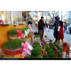 جلوه های فرا رسیدن بهار و استقبال از عید نوروز در مریوان