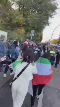 ! دست درازی پلیس آلمان به زن ایرانی و بردن او به ون !