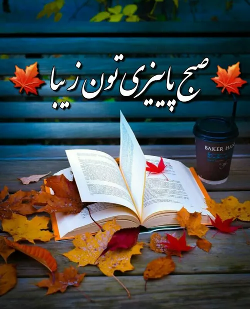 پاییز زیباست🍁