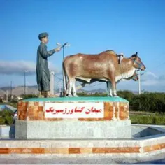 شهرستان سیریک