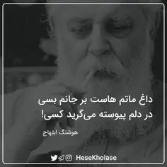 در دلم پیوسته می گرید کسی ! 🖤