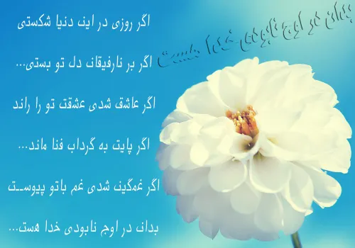 شعر و ادبیات 71.mohammad 17221112 - عکس ویسگون
