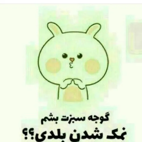 نمک کجایی😂 😂