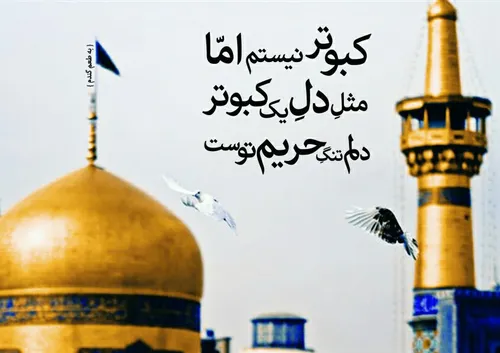 ولادت امام رضا(ع)بر تما مسلمانان مبارکباد