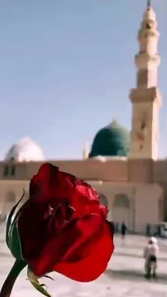 🌸میلاد رسول مهربانی‌ها پیامبر اعظم (ص)💚 