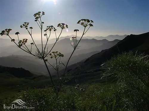 طبیعت کوردستان بخش پنجم