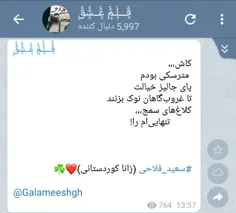 سعید فلاحی (زانا کوردستانی)