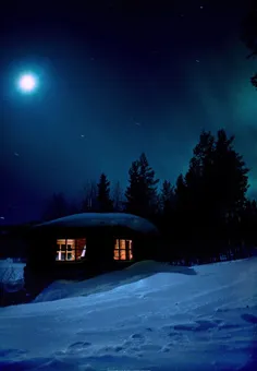 شب های زمستانی ات بلند همراه همیشگی تنهایی هایم. برایت نگ