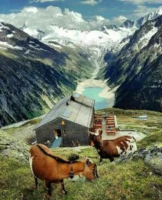 تصویری زیبا از طبیعت خیر کننده کشور #اتریش...