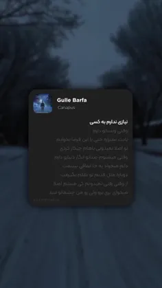 نیازی ندارم به کسی وقتی ویساتو دارم ...