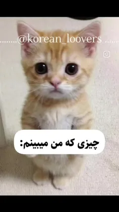 جر خوردم از خنده