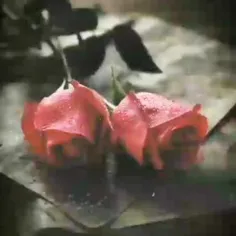 حال و هوای دل تو چگونه است....?
