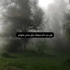 : 🐰دلم میخواد بخوابم بعدش توی همون خواب بمیرم و بعدش دیگه