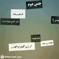 استفاده از برچسب های جنسیتی رو تموم کنیم...