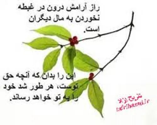 عکس نوشته fatemh.b 3786228 - عکس ویسگون