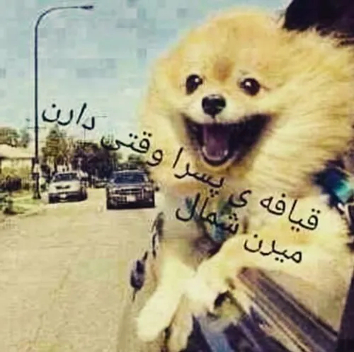 خخخخخ