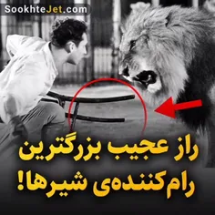 تمرکز روی هدف 