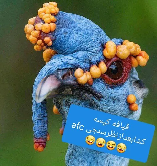 همیشه یکی هست که میرینه ب جشنشون😂😂😂😂😂