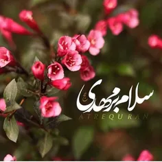 این جمعه و جمعه های دیگر حرف است