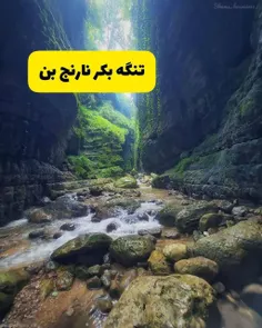 طبیعت بکر که میگن یعنی همین! 