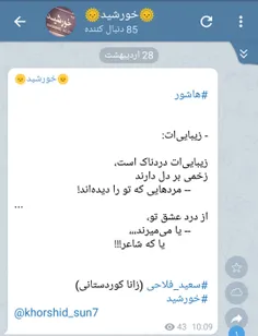 #سعید_فلاحی