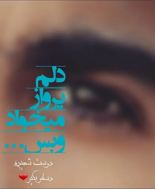 دلم پرواز میخواهد و بس..