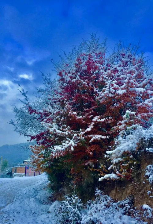 رستمکلا بهشهر مازندران 🍁 🍃 ❄ ️