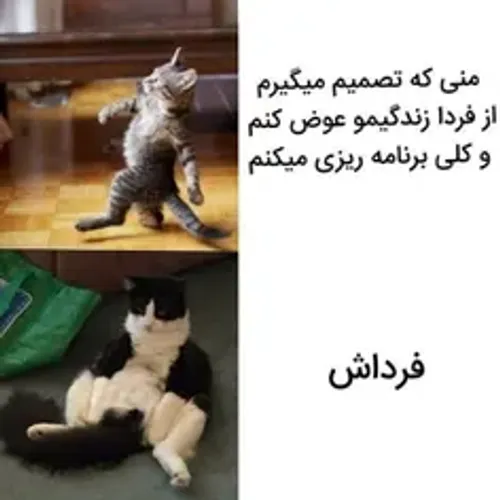 توروخدا بگید که تنها نیستم😂: