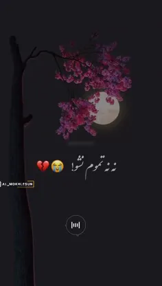 چہ سـৣـخت است لحظہ وداع