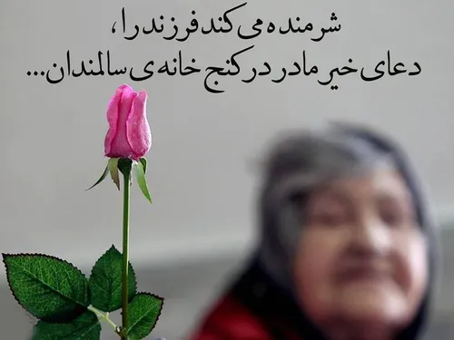 ⭐{کاش به زندگی اینگونه نگاه کنیم }