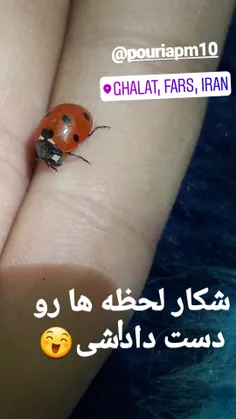 قلات شیراز با خانواده 😍 