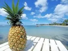 🍍  آناناس و سلول‌ها