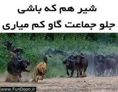 بدون شرح..!