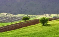 شهر زیبای دورود