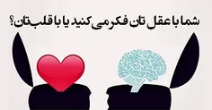 شماها با کدوم فکر می کنید وکدوم براتون مهم تره ؟😂 😂 😂 