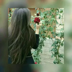 نمی دانم شب ها