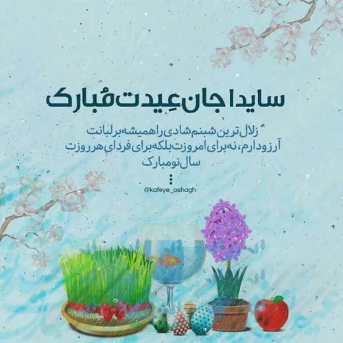 سایدا