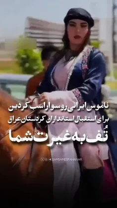 🚨اقدام عجیب استانداری کردستان! سوارکاری بانوان در استقبال