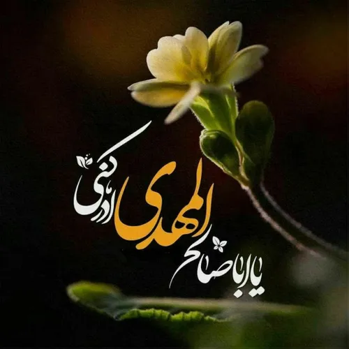 یا مهدی ادرکنی