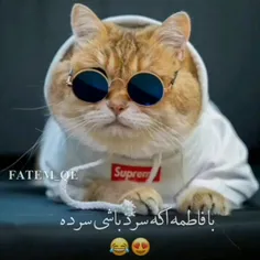 اینم ب عۺق فاطمع هامون 😂