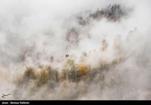 ‏تصویری بسیار زیبا از هوای مه آلود در مناطق کوهستانی و جن