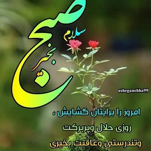 شاد باشید