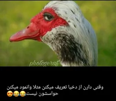 طنزه.یه.وقت.دخیا.نشین.ناراحت.😂 😂 