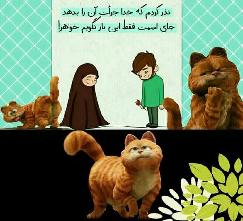 عـَـخـِـی 😼😸