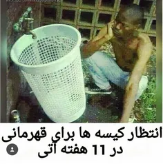 خخخخخخ کیسه کش هارو