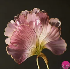 #سنجاق_مو هایی با گل های ظریف زیبا  #هنرمند ژاپنی با استف