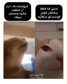 سلام🙂