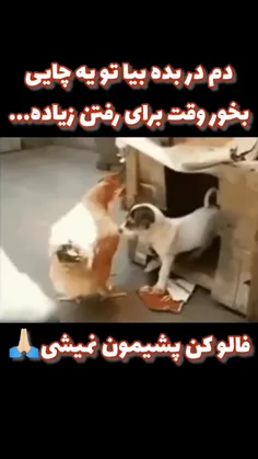 جرعت داری بازم بیا جلو در خونه ش