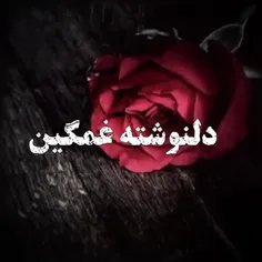 امان از پنجشنبه هایی که دلتنگ کسانی میشویم که دیگر حضورشا